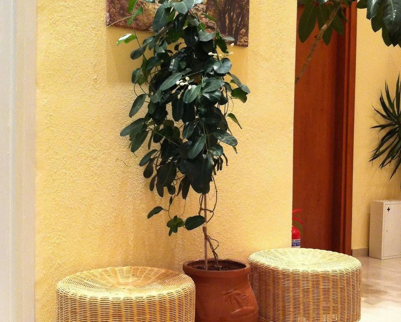 *** Ξενοδοχείο με διαμερίσματα Loxandra Studios Μεταμόρφωση Ελλάδα