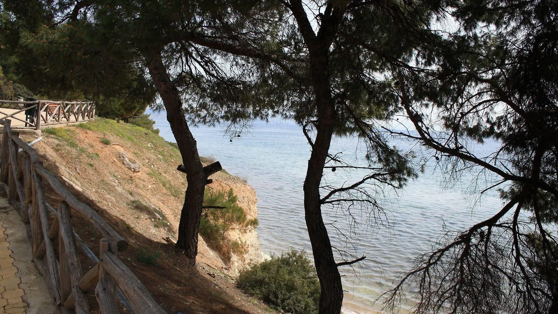 Loxandra Studios Μεταμόρφωση
